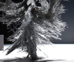 SILVER - DANCE COMPANY NANINE LINNING / THEATER HEIDELBERG 2015